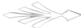 National Alliance of Christian Home Education Leadership